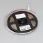 Светодиодная лента IC-A60-8mm 24V White6000 (4.8 W/m, IP20, 2835, 10m) (Arlight, стабилизированная) | 037954 | Arlight