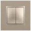 Переключатель двойной, 10АХ-250В, Эра Elegance, шампань,14-1106-04