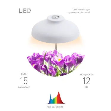 Светильник светодиодный настольный фито для растений/для грунта белый спектр FITO-12W-FLED | Б0039068 | ЭРА
