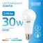 Лампа светодиодная LED Elementary A67 30W E27 2390lm 6500K | 73239 | Gauss