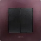 ETIKA Выключатель двухклавишный автоматические клеммы 10 AX 250 В антрацит