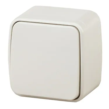 Переключатель, 10A-250В, ОУ, Polo, сл.кость,3-103-02