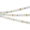Светодиодная лента герметичная RTW-SE-A60-8mm 12V Warm3000 (4.8 W/m, IP65, 2835, 5m) (Arlight, 4.8 Вт/м, IP65) | 014795(2) | Arlight