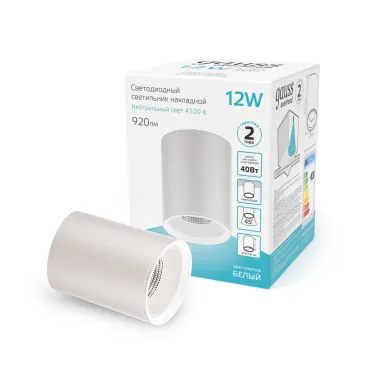 Светильник светодиодный декоративный бытовой HD011 12W (белый) 4100K 79x100мм | HD011 | Gauss