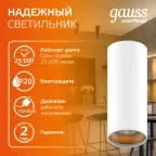 Светильник светодиодный декоративный бытовой HD012 12W (белый золото) 3000K 79x200мм | HD012 | Gauss