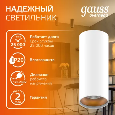 Светильник светодиодный декоративный бытовой HD012 12W (белый золото) 3000K 79x200мм | HD012 | Gauss