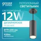 Светильник светодиодный накладной/подвесной HD035 12W (черный/золото) 4100K 79*200мм 1/10 | HD035 | Gauss