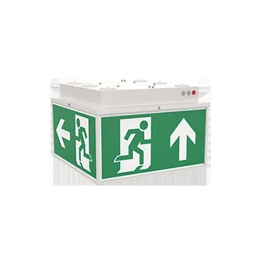 Световой указатель аварийного освещения светодиодный Quad серии Advanced 6W IP20/IP65 3ч Teletest | V1-EM-70432-31A01-2000665 | VARTON