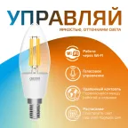 Лампа светодиодная филаментная Smart Home DIM+CCT E14 C35 4,5 Вт 2000-6500 К 1/10/40 | 1250112 | Gauss