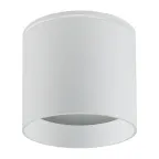 Светильник ДПО-12w GX53 без лампы IP44 белый