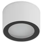 Светильник настенно-потолочный спот OL28 WH/BK GX53, черно-белый, IP44
