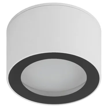 Светильник настенно-потолочный спот OL28 WH/BK GX53, черно-белый, IP44