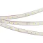Светодиодная лента герметичная RTW-PFS-B60-13mm 24V Day4000 (14.4 W/m, IP68, 5060, 5m) (Arlight, 14.4 Вт/м, IP68) | 034034 | Arlight