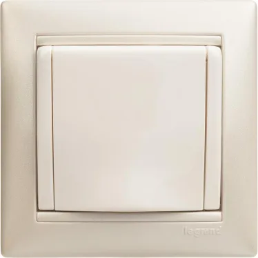 VALENA Розетка с заземлением в рамку с крышкой белая