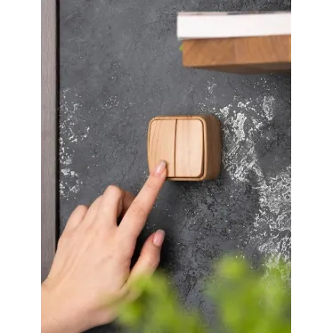 Выключатель двухклавишный ОП Минск 10А светлое дерево