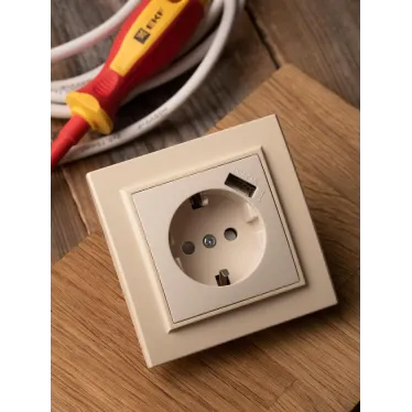 Розетка Минск 1-местная СП c заземлением 16А бежевая с защитными шторками с USB 1А
