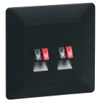 Valena IN MATIC Аудиорозетка с пружинными зажимами Двойная