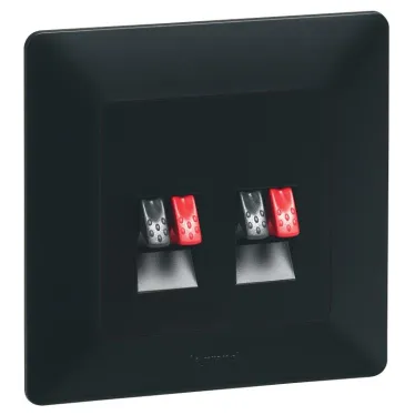 Valena IN MATIC Аудиорозетка с пружинными зажимами Двойная