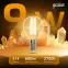 Лампа светодиодная LED Filament Шар E14 9W 680lm 2700K | 105801109 | Gauss