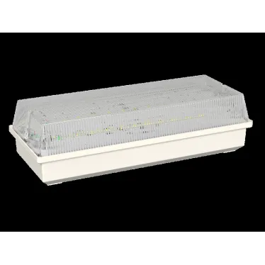 Аварийный светильник BS-UNIVERSAL-51-L1-INEXI2