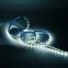 Лента светодиодная LED 5050/60-SMD 8 Вт/м 900 лм/м 4000К DC 12В IP20 10мм (блистер 5м) Basic Gauss
