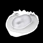 Светильник ЖКХ под лампу 1хE27 AC 220В IP54 овал 160х80х212мм max 60Вт НБП Gauss