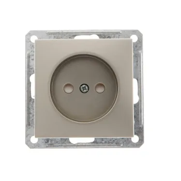 W59 Розетка скрытая без заземления в рамку шампань