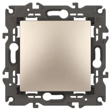 Выключатель, 10АХ-250В, Эра Elegance, шампань,14-1101-04