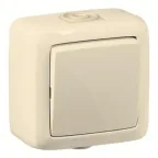 Переключатель одноклавишный наружный слоновая кость 10А