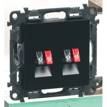 Valena IN MATIC Аудиорозетка с пружинными зажимами Двойная