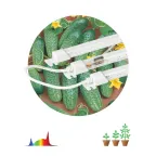 Модульный светильник для растений FITO-3х10W-LINE-Ra90 полного спектра 30 Вт