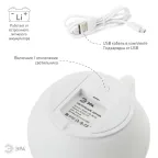 Светильник настольный NLED-418-2W-W белый (12/480)