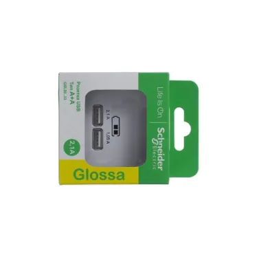 Розетка GLOSSA USB 5В/2100мА 2х5В/1050мА механизм белый