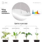 Светильник для растений FITO-25W-QLED-FLY подвесной полного спектра 25 Вт