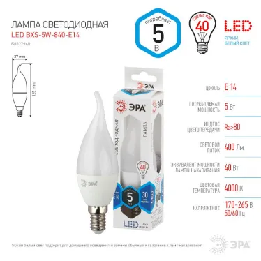 Лампа светодиодная LED BXS-5W-840-E14 (диод, свеча на ветру, 5Вт, нейтр, E14 (10/100/2800)