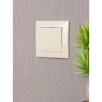 Валенсия выключатель 1-кл. 10А кремовый