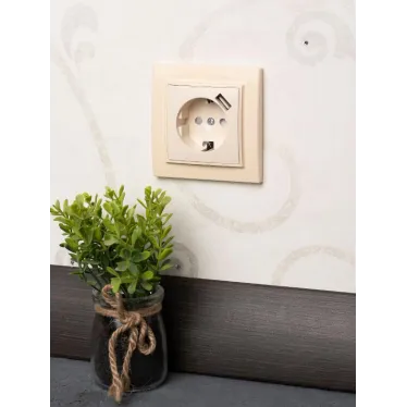 Розетка Минск 1-местная СП c заземлением 16А бежевая с защитными шторками с USB 1А