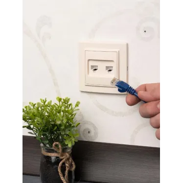 Розетка RJ-45+Phone СП бежевый Минск