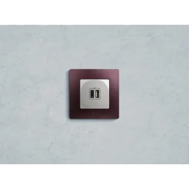 Зарядное устройство с двумя USB-разьемами тип A-тип С 240В/5В 3000мА - Etika - Цвет Алюминий