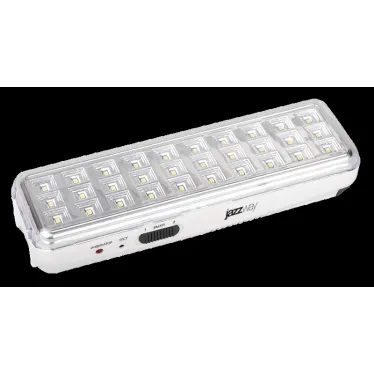 Светильник аккумуляторный светодиодный Accu9-L30