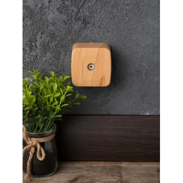 Розетка TV 1-местная ОП Минск 75Ом 5-862МГц светлое дерево