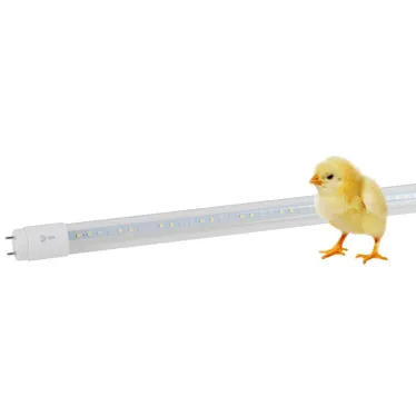 Лампа светодиодная полноспектральная Т8 с красными и белыми светодиодами для профессионального выращивания растений FITO-18W-Ra90-Т8-G13-NL