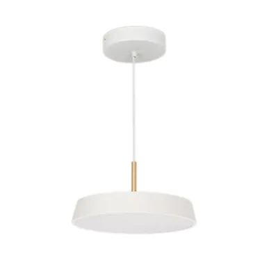 Светильник SP-ELEGANT-R300-17W Day4000 (WH, 120 deg, 230V) (IP20 металл, 3 года)