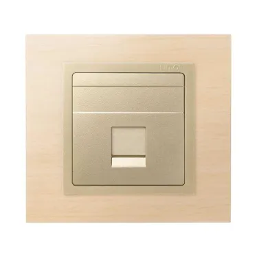 Адаптер на 1 RJ45(12) 75528-, 75540-, 75541-, 75544-39, шторка, S82,82N, шампань