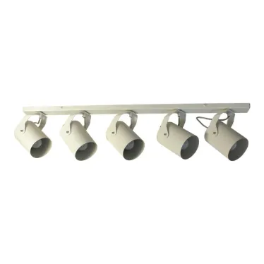 Светильник Трек НПБ 01-5х60-514 бел.матовый/белый ИУ