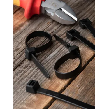 Хомут P6.6 стандартный черный 2.5x160 (100шт) FlexLock PROxima