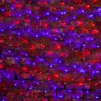 Гирлянда "Сеть" 2,5х2,5м, черный ПВХ, 432 LED Красные/Синие | 215-033 | NEON-NIGHT