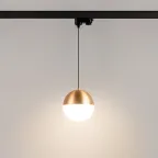 Светильник LGD-EMISFERO-TRACK-HANG-4TR-R150-11W Warm3000 (GD, 170 deg, 230V) (Arlight, IP20 Металл, 3 года) | 035940 | Arlight