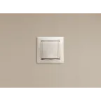 VALENA Розетка с заземлением в рамку с крышкой белая