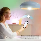 Лампа Светодиодная Smart Home DIM+CCT E27 A60 10 Вт 1/10/100 | 1080112 | Gauss